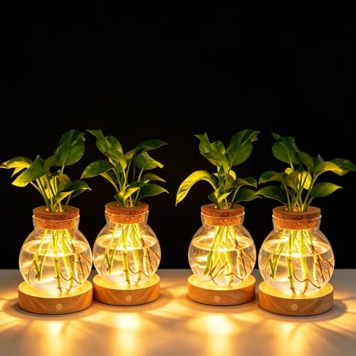 Plant Propagation Station with Light,Everkeen Glass Terrarium with Stepless Dimming Function Hydroponic Glass Container Vase Jars Gardening Gifts for Mom Women Plant Lovers 4 Pack - color: Clear 4 Pack