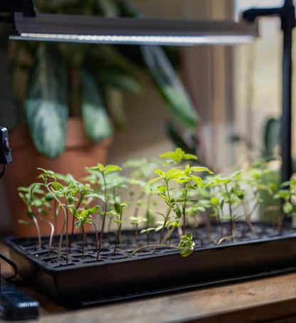 SunBlaster Seed Starting Kit, Grow Light, Stand, Heat Mat, Tray & Timer - style: 18" LED - Grow Up Greenhouse Intermediate Kit