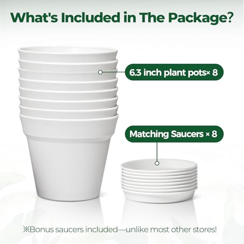 T4U Plant Pots Indoor 6 Inch 8 Pack, Plastic Flower Pots with Saucer White - color: White, size: 6 inch