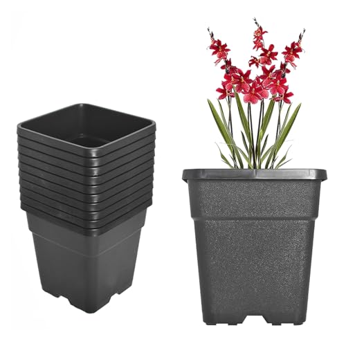2 Gallon Square Plastic Garden Planter Pot Plant Nursery Pot 10-Pack