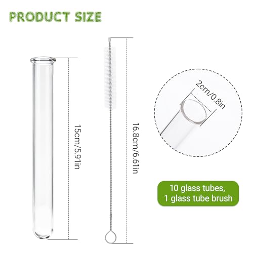 10 Pcs Glass Test Tubes for Plants, 18ml Clear Propagation Tubes with Brush, Round Bottom Testing Tube for Hydroponic Plants, Flowers, Home Office Wall Decor