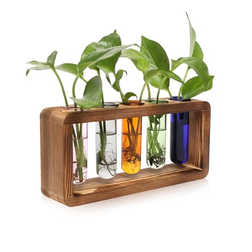 Glass Plant Propagation Station with 5 Test Tubes Colorful Planter Vase - color: Color-01
