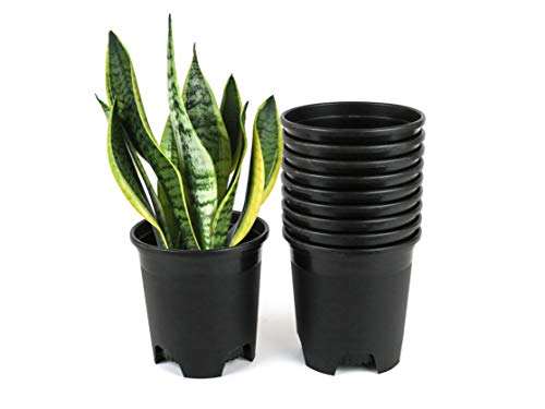 4.5 Inch Nursery Pot Plastic Planters for Outdoor Indoor Plants Gardening Flower Pots 0.35 Gallon 10-Pack Black Pot Liners with Drainage Holes - color: Black, size: 10-Pack 0.35 Gal