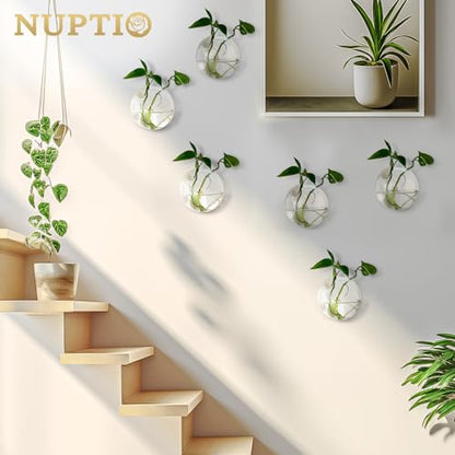 NUPTIO Glass Wall Hanging Planters: Propagation Station for Plants, 6 Pcs - size: 6 Pcs