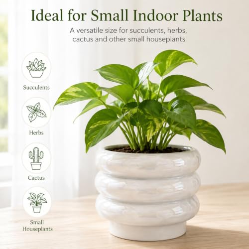 6 Inch Ceramic Plant Pots for Indoor Plants, Planter with Drainage - color: White, size: 6 Inch (Single)
