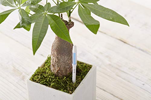 Sustee Aquameter (Medium Green Refillable - Bundle of 2) - House Plant Soil Moisture Meter, Humidity Sensor Probe, Water Level Indicator - Best for Indoor Potted Plants