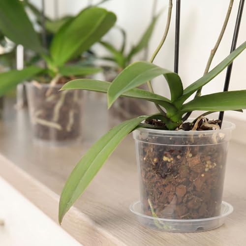Baderke 12 Pack Clear Nursery Pot,Multiple Sizes - size: Multiple Sizes