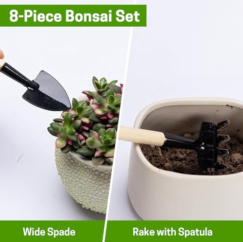 Bonsai Set 8 Pcs, Bonsai Tools Kit, Garden Tools Set
