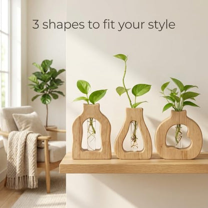 Plant Propagation Station Hanging Stand with Vases - color: 1