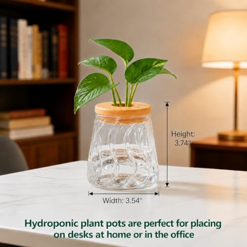 Desktop Plant Hydroponic Vases, Water Plant Jars, Gardening Gifts for Office and Home, Outdoor, Transparent Glacier Pattern - color: Transparent Glacier Pattern