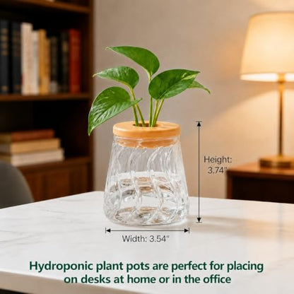 Desktop Plant Hydroponic Vases, Water Plant Jars, Gardening Gifts for Office and Home, Outdoor, Transparent Glacier Pattern - color: Transparent Glacier Pattern