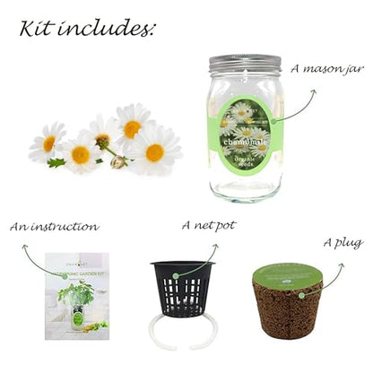 Hydroponic Herb Growing Kit, Self-Watering Mason Jar Herb Garden Starter Kit Indoor, Windowsill Herbs Garden, Grow Your Own Herbs from Organic Seeds (Chamomile) - color: Chamomile