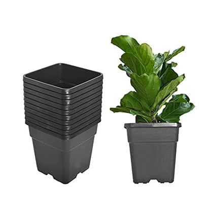 10-Pack 1.4 Gallon Square Plastic Garden Planter Pots Flower Seedling Container Fit for Indoor Outdoor Plants Seedlings Flowers Vegetables Black