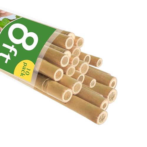 Bamboo Stakes 8FT, 8 Feet Natural Bamboo Plants Stakes, 1" D Thicker Heavy Duty Garden Stakes 10 Pack for Tomatoes, Beans, Flowers, Potted and More Climbing Plants - size: 8FT, pack of 10