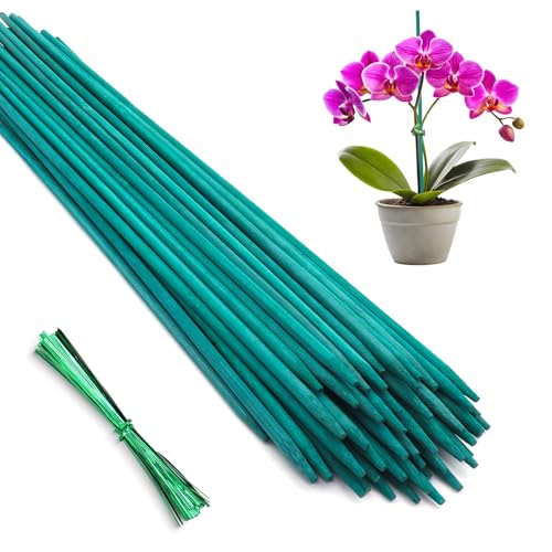 Bamboo Plant Stakes 50PCS,18IN Natural Bamboo Stakes Garden StakesWith Ties - color: Green, size: 18 Inch 50Pack