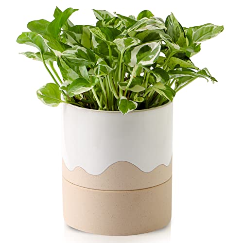 Nihow Ceramic Self Watering Plant Pot for Indoor Plants, 6 Inch,Cream White - color: White & Nature, size: 6" Self Watering