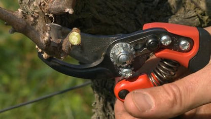 Bahco BAHPX-M2-L ERGO Medium Left-Hand Bypass Pruning Shears, 3/4" Cut Cap - size: Medium - Left Handed, style: #2 Blade