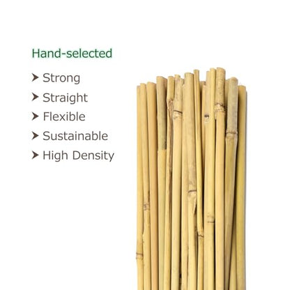 Cambaverd Bamboo Stakes 6 Feet, Tall Garden Stakes, 20 Pack Bamboo Poles - size: 6 FT-20 PACK