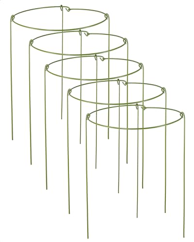 5 Pack Plant Support Stakes, Adjustable Plant Ring Cages with Green Rubber Wrapping, Ideal for Orchids, Indoor and Outdoor Potted Plants, 6" Wide x 11" High - size: 6" Wide x 11" High