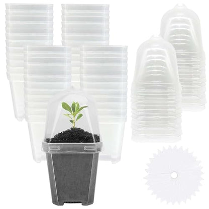 50 Pcs 3" Clear Plant Nursery Pot with Humidity Dome, Plastic Gardening Pot - color: 50pcs-white, size: 3 Inch