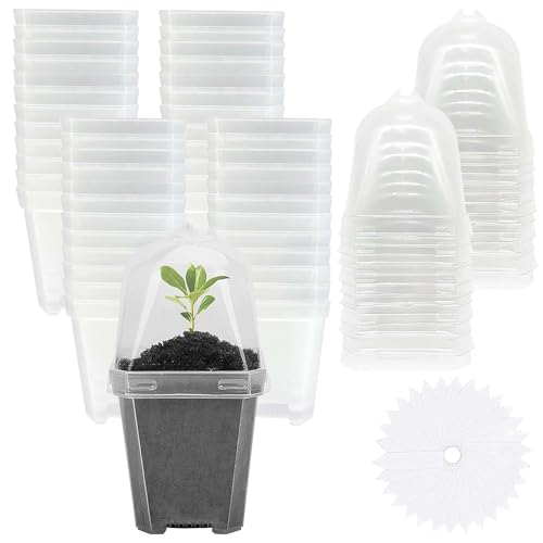 50 Pcs 3" Clear Plant Nursery Pot with Humidity Dome, Plastic Gardening Pot - color: 50pcs-white, size: 3 Inch