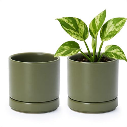 D'vine Dev 2-Pack Ceramic Pots with Saucers, Olive, 4.7 in, 94-V-B-J - color: Olive, size: 4.7 Inch