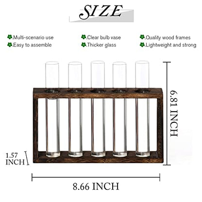 XXXFLOWER 5Test Tube Plant Propagation Station Plant Terrarium Wooden Stand - size: 5 Glass Tubes Vases