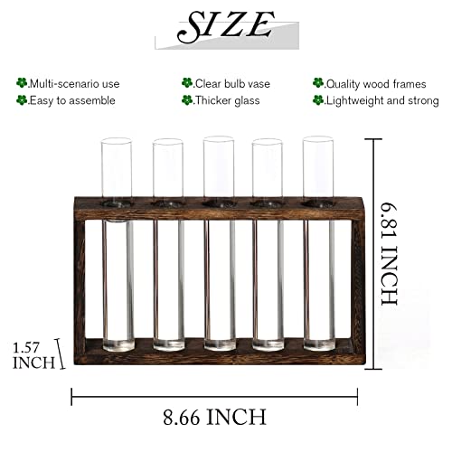 XXXFLOWER 5Test Tube Plant Propagation Station Plant Terrarium Wooden Stand - size: 5 Glass Tubes Vases