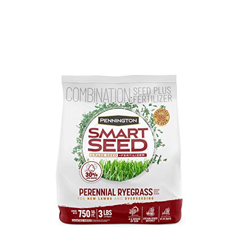 Pennington Smart Seed Perennial Rye Grass Seed Plus Fertilizer, 3 lb