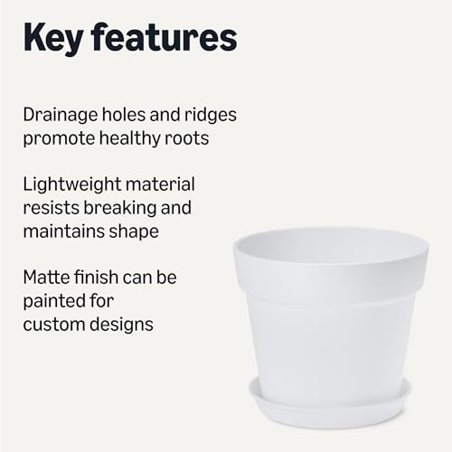 Amazon Basics Plant Pot with Saucer, Flower Pot with Drainage Holes, Lightweight PP, 8 Inch, 1-Pack - size: 8 inch