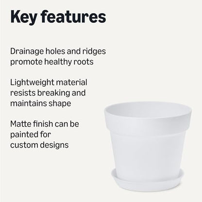 Amazon Basics Plant Pot with Saucer, Flower Pot with Drainage Holes, Lightweight PP, 8 Inch, 1-Pack - size: 8 inch