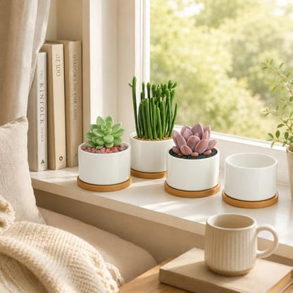 ZOUTOG 6 Pack 3.6" Ceramic Succulent Pots,White Planter with Drainage Tray | Round Flower Plant Pot Ideal for Windowsill, Bedroom and Living Room, Great for Succulents, Cacti & Small Indoor Green Plants