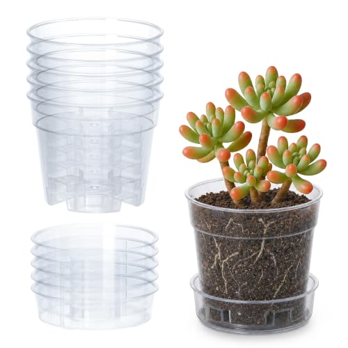 3 Inch Clear Plastic Plant Pot with Drainage Holes, Interlocking & Detachable Tray - Deep Saucer - Durable BPA-Free Plastic, Transparent Design, Raised Base for Airflow, Set of 6, 92-X-A-1 - size: 3" x 2.5"