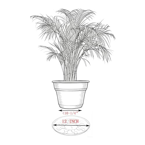6 Pack 12 Inch Heavy Duty Clear Plastic Plant Saucer Sturdy Pot Tray Plant Drip Trays for pots,Plant Water Catcher Tray,Flower Pot Saucer Water Drainage Tray Floor Protector (12 Inch) - size: 12 inch