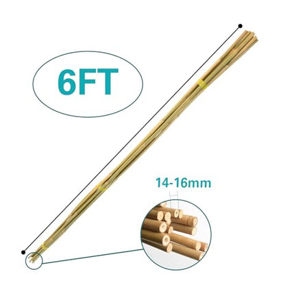 20pcs Bamboo Stakes 6 Feet, 6FT Garden Stakes Multi-Purpose, 5/8" Dia Plant Stakes for Tomatoes, Beans, Cucumbers, Peppers, Potted Trees, Maintain the Plant Posture, Strengthen and Stem - size: 6FT,Pack of 20