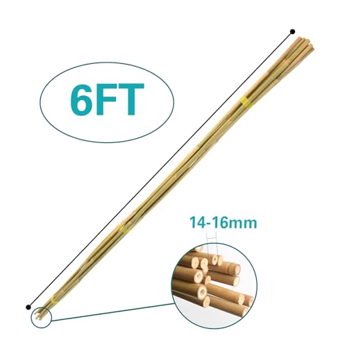 50pcs Bamboo Stakes 6ft, 6FT Garden Stakes Multi-Purpose, 5/8" Dia Plant Stakes for Tomatoes, Beans, Cucumbers, Peppers, Potted Trees, Maintain the Plant Posture, Strengthen and Stem - size: 6FT, 50 of pack