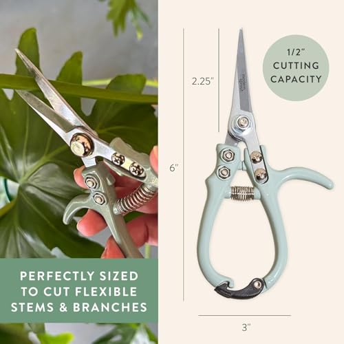Modern Sprout Pruning Shears - Garden Snips - Herb Scissors - Multi 4-Pack - color: Multicolor - 4pcs