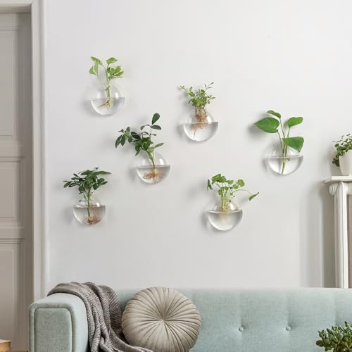 Wall Propagation Planter 6 Pack Glass Wall Planter Oblate Hanging Terrarium