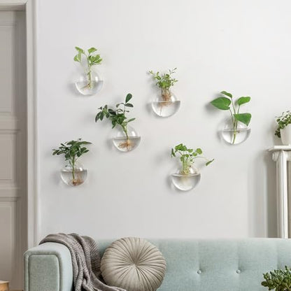 Wall Propagation Planter 6 Pack Glass Wall Planter Oblate Hanging Terrarium