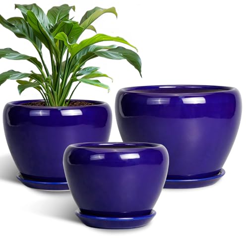 Flower Pots for Indoor Plants- Ceramic Pots for Plants 10 Inch 8 Inch 6 Inch Plant Pots with Drainage Holes and Saucers Decorative Large Planters for Outdoor Plants Set of 3 Blue - color: Royal Blue