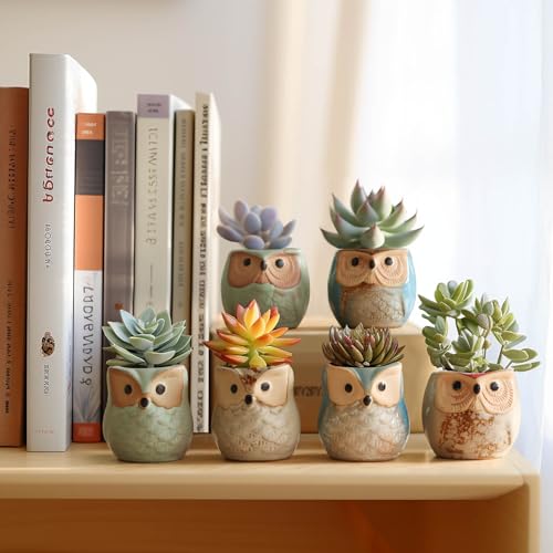T4U Owl Succulent Pots, Mini Ceramic Gift Pots with Drainage, Retro 6 Pack - color: Owl, size: Pack of 6