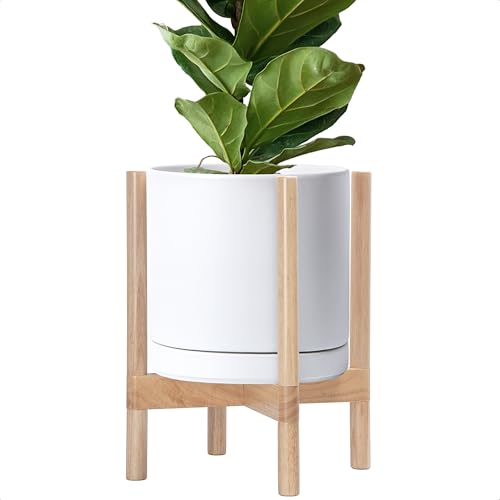 D'vine Dev Ceramic Pot with Natural Wood Stand, White, 12 in, 55-B-J-1 - color: White Pot + Natural Stand, size: 12 Inch