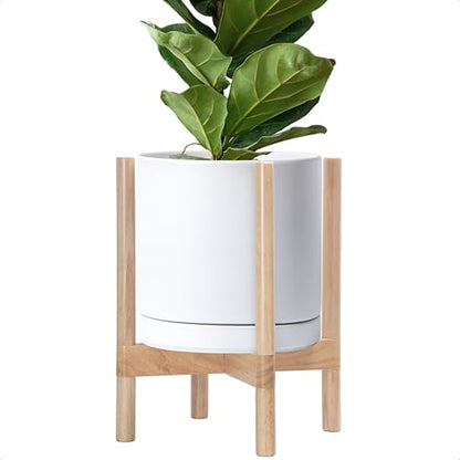 D'vine Dev Ceramic Pot with Natural Wood Stand, White, 12 in, 55-B-J-1 - color: White Pot + Natural Stand, size: 12 Inch