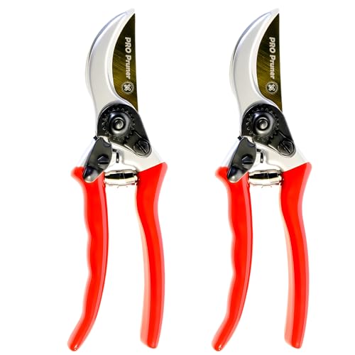 Premium Garden Shears - Heavy Duty Bypass Pruners for Trees Up to 1"Cut Capacity Garden Clippers, Gardening Scissors with Sharp (2 Pack) - style: 2 Pack