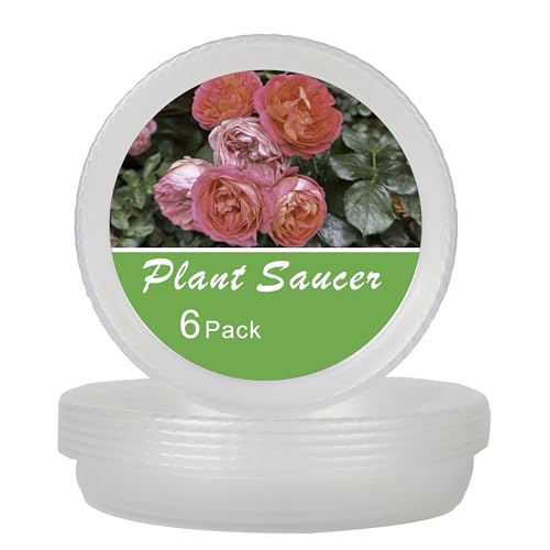 Plant Saucer 6 Pack of 6 inch, Plant Trays for Pots, Plant Drip Trays Saucers - color: Clear, size: 6"(6Pack)
