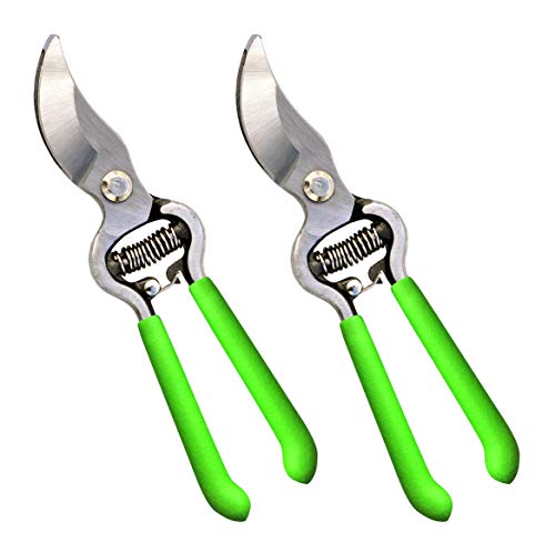 Garden Guru Classic Bypass Pruning Shears Clippers – Heavy Duty Forged Steel Garden Pruners – Safety Lock – Non Slip Comfort Grips – Cuts up to 1” – Professional Bypass Pruners for Gardening (2 Pack) - size: 2 Pack, style: Bypass Pruner
