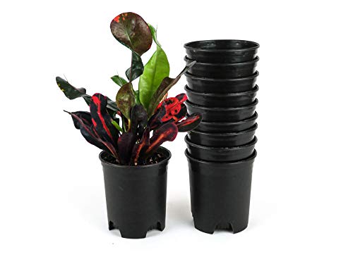 4 Inch Nursery Pot Plastic Planters for Outdoor Indoor Plants Gardening Flower Pots 10-Pack 0.25 Gallon Pot Liners with Drainage Holes - color: Black, size: 10-Pack 0.25 Gal