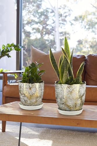 Oairse 6 +5 inch Ceramic Planter Pots Set of 2 Small Round Flower Pots with Drainage Hole and Ceramic Tray for Succulents Cactus Indoor Outdoor Garden Home Windowsill - color: Gold