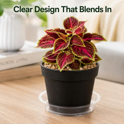Gardzen Heavy Duty Clear Plastic Plant Saucers, Flower Pot Tray - Excellent for Indoor & Outdoor Plants (8-Inch, 10-Pack) - size: 8 Inch