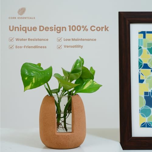 Natural Cork Oval Propagation Planter with Glass Vase